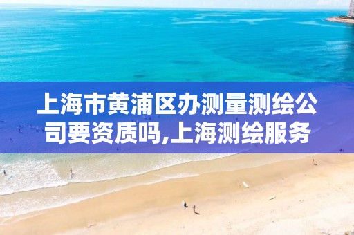 上海市黃浦區辦測量測繪公司要資質嗎,上海測繪服務中心。