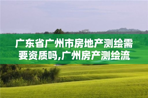 廣東省廣州市房地產(chǎn)測繪需要資質(zhì)嗎,廣州房產(chǎn)測繪流程。