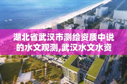 湖北省武漢市測繪資質中說的水文觀測,武漢水文水資源勘測局。