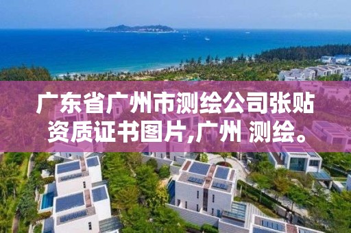 廣東省廣州市測繪公司張貼資質證書圖片,廣州 測繪。