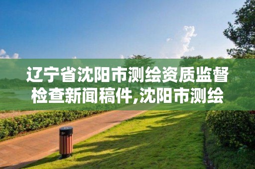 遼寧省沈陽市測繪資質監督檢查新聞稿件,沈陽市測繪管理辦公室。