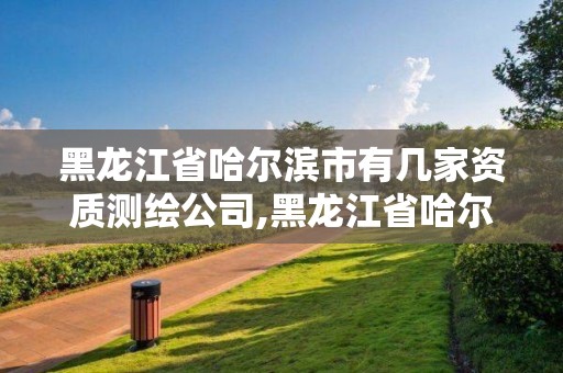 黑龍江省哈爾濱市有幾家資質測繪公司,黑龍江省哈爾濱市有幾家資質測繪公司啊。