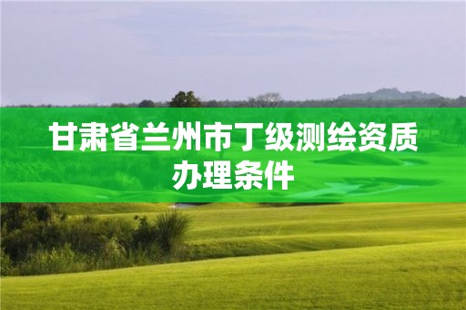 甘肅省蘭州市丁級測繪資質(zhì)辦理條件