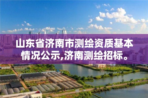 山東省濟南市測繪資質基本情況公示,濟南測繪招標。