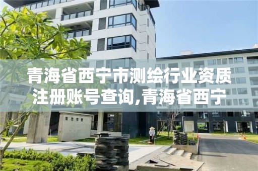 青海省西寧市測繪行業資質注冊賬號查詢,青海省西寧市測繪行業資質注冊賬號查詢官網。