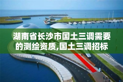 湖南省長沙市國土三調需要的測繪資質,國土三調招標。