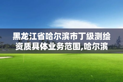 黑龍江省哈爾濱市丁級測繪資質具體業務范圍,哈爾濱測繪地理信息局招聘公告。