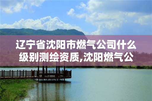 遼寧省沈陽市燃氣公司什么級別測繪資質,沈陽燃氣公司是事業單位嗎。