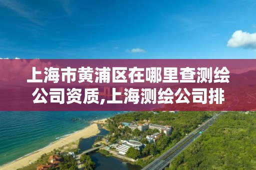 上海市黃浦區在哪里查測繪公司資質,上海測繪公司排名名單。