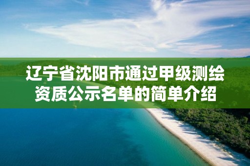 遼寧省沈陽市通過甲級測繪資質公示名單的簡單介紹