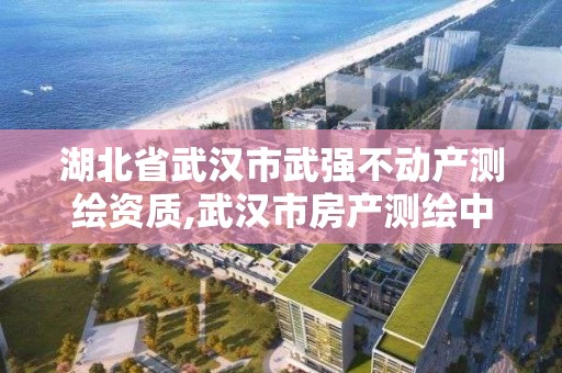 湖北省武漢市武強不動產測繪資質,武漢市房產測繪中心是什么性質。