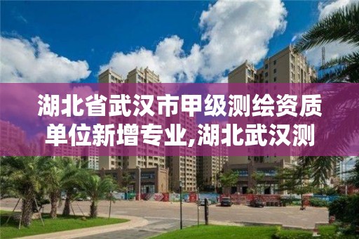 湖北省武漢市甲級測繪資質單位新增專業,湖北武漢測繪公司排行榜。