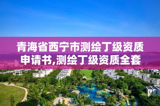 青海省西寧市測繪丁級資質申請書,測繪丁級資質全套申請文件。