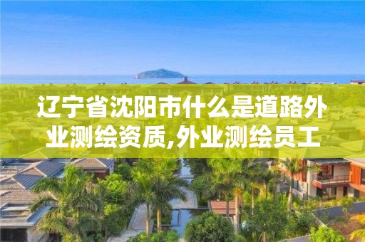 遼寧省沈陽市什么是道路外業(yè)測(cè)繪資質(zhì),外業(yè)測(cè)繪員工資怎么樣。