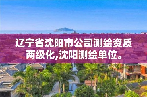 遼寧省沈陽市公司測繪資質(zhì)兩級化,沈陽測繪單位。