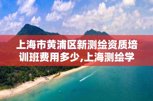 上海市黃浦區新測繪資質培訓班費用多少,上海測繪學會。