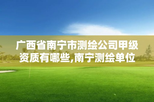 廣西省南寧市測繪公司甲級資質有哪些,南寧測繪單位排名。