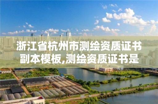 浙江省杭州市測繪資質證書副本模板,測繪資質證書是什么。