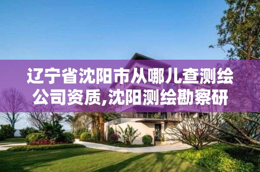 遼寧省沈陽市從哪兒查測繪公司資質(zhì),沈陽測繪勘察研究院有限公司。