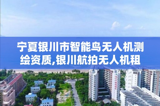 寧夏銀川市智能鳥無人機測繪資質,銀川航拍無人機租賃。