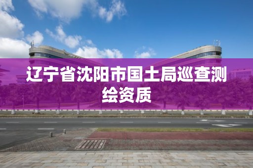 遼寧省沈陽市國土局巡查測繪資質