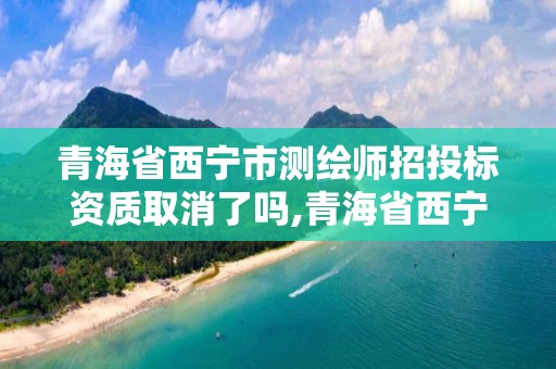 青海省西寧市測(cè)繪師招投標(biāo)資質(zhì)取消了嗎,青海省西寧市測(cè)繪師招投標(biāo)資質(zhì)取消了嗎今年。