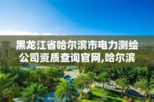 黑龍江省哈爾濱市電力測繪公司資質(zhì)查詢官網(wǎng),哈爾濱電力檢測。