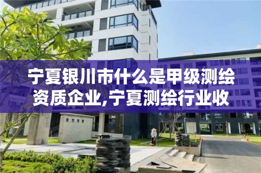 寧夏銀川市什么是甲級測繪資質企業,寧夏測繪行業收費標準。