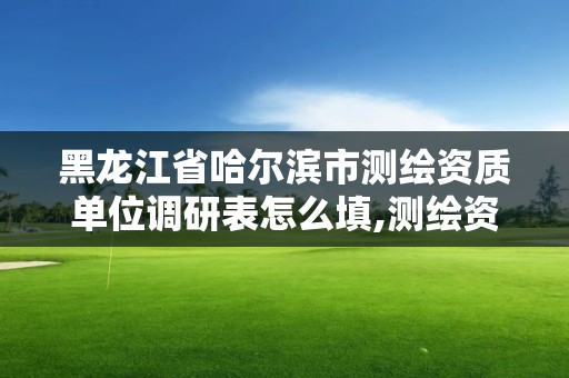 黑龍江省哈爾濱市測繪資質單位調研表怎么填,測繪資質自查情況表如何填寫。