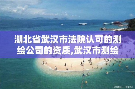 湖北省武漢市法院認可的測繪公司的資質,武漢市測繪院怎么樣。