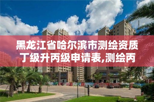 黑龍江省哈爾濱市測繪資質丁級升丙級申請表,測繪丙級升乙級需要哪些條件。