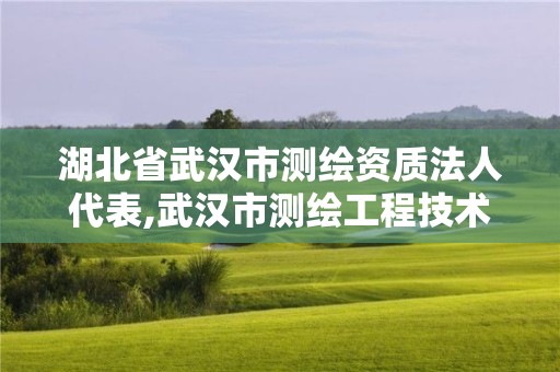 湖北省武漢市測繪資質法人代表,武漢市測繪工程技術規定。