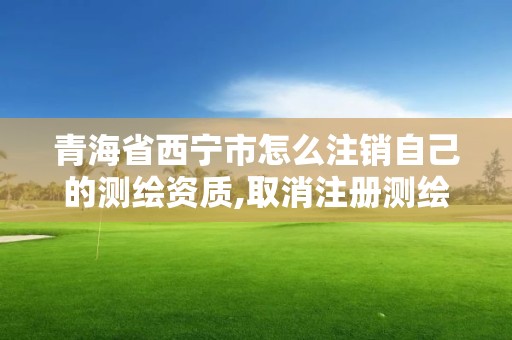 青海省西寧市怎么注銷自己的測繪資質,取消注冊測繪。