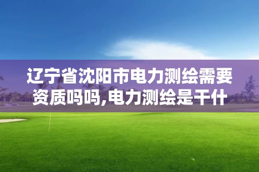 遼寧省沈陽市電力測繪需要資質嗎嗎,電力測繪是干什么的。