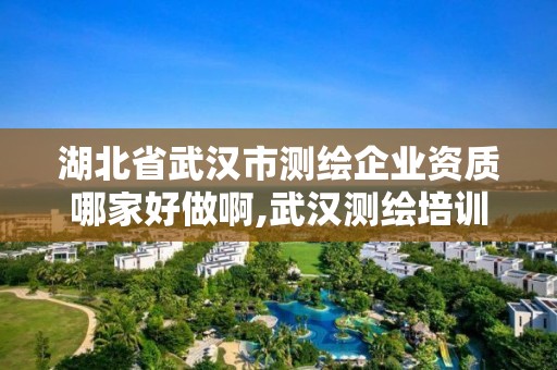 湖北省武漢市測繪企業(yè)資質(zhì)哪家好做啊,武漢測繪培訓(xùn)機(jī)構(gòu)。