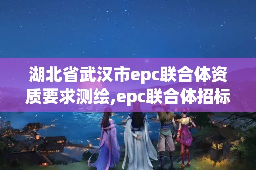 湖北省武漢市epc聯合體資質要求測繪,epc聯合體招標。