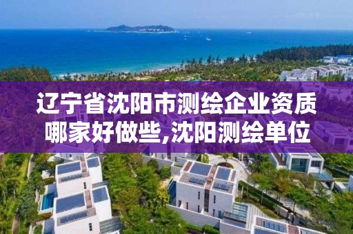 遼寧省沈陽市測繪企業(yè)資質哪家好做些,沈陽測繪單位招聘。