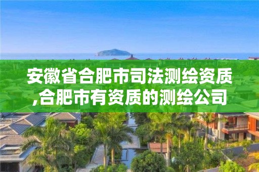 安徽省合肥市司法測繪資質,合肥市有資質的測繪公司。