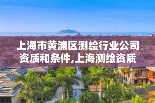 上海市黃浦區(qū)測繪行業(yè)公司資質(zhì)和條件,上海測繪資質(zhì)單位。