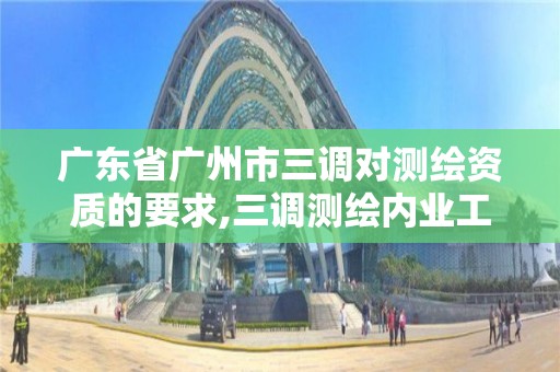 廣東省廣州市三調(diào)對(duì)測(cè)繪資質(zhì)的要求,三調(diào)測(cè)繪內(nèi)業(yè)工作內(nèi)容。