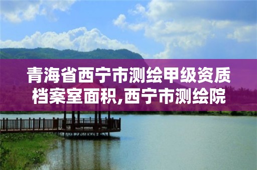 青海省西寧市測繪甲級資質檔案室面積,西寧市測繪院改企業。