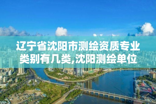 遼寧省沈陽市測繪資質專業類別有幾類,沈陽測繪單位招聘。