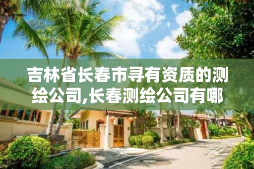 吉林省長春市尋有資質的測繪公司,長春測繪公司有哪些。