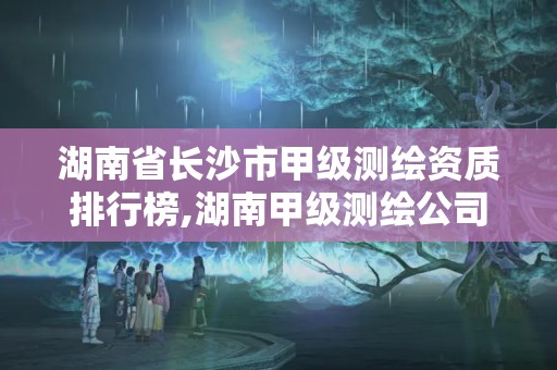 湖南省長沙市甲級測繪資質(zhì)排行榜,湖南甲級測繪公司。