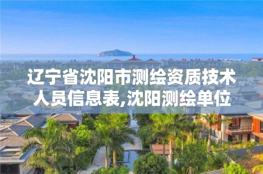 遼寧省沈陽市測(cè)繪資質(zhì)技術(shù)人員信息表,沈陽測(cè)繪單位排名。