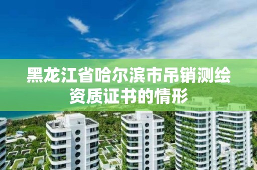 黑龍江省哈爾濱市吊銷測繪資質證書的情形