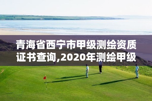 青海省西寧市甲級測繪資質證書查詢,2020年測繪甲級資質條件。