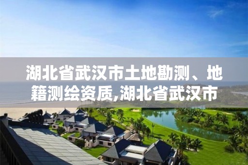 湖北省武漢市土地勘測、地籍測繪資質,湖北省武漢市土地勘測,地籍測繪資質是什么。