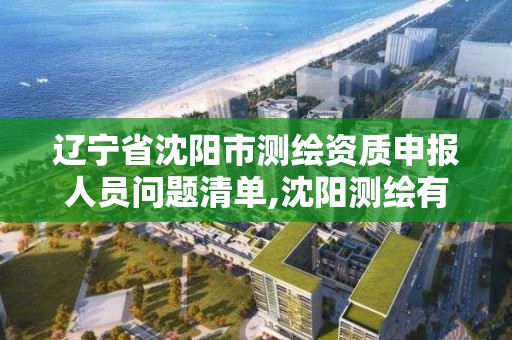 遼寧省沈陽市測繪資質申報人員問題清單,沈陽測繪有限公司。