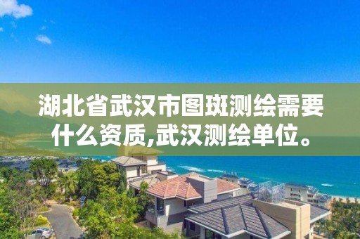 湖北省武漢市圖斑測繪需要什么資質,武漢測繪單位。